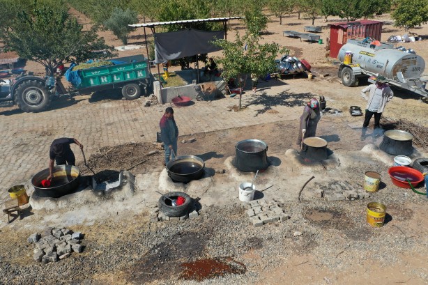 Üstüne basa basa önerdiler! Üzümün o enfes yolculuğuna çıkmaya hazır mısınız?