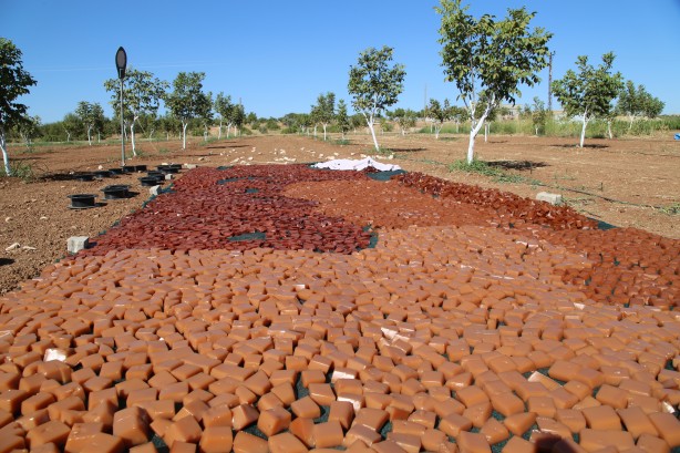 Foto - Üstüne basa basa önerdiler! Üzümün o enfes yolculuğuna çıkmaya hazır mısınız?