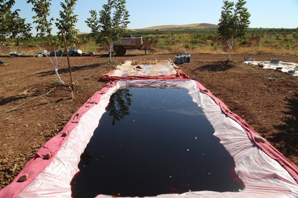 Foto - Üstüne basa basa önerdiler! Üzümün o enfes yolculuğuna çıkmaya hazır mısınız?