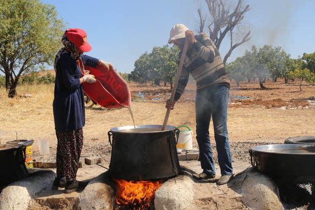 Foto - Üstüne basa basa önerdiler! Üzümün o enfes yolculuğuna çıkmaya hazır mısınız?
