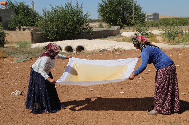 Foto - Üstüne basa basa önerdiler! Üzümün o enfes yolculuğuna çıkmaya hazır mısınız?