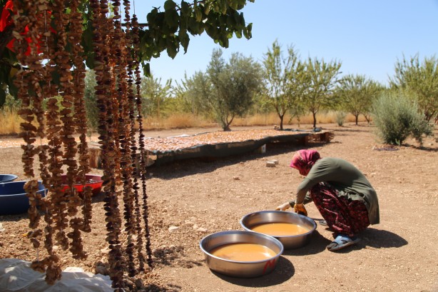 Foto - Üstüne basa basa önerdiler! Üzümün o enfes yolculuğuna çıkmaya hazır mısınız?