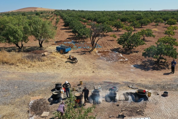 Foto - Üstüne basa basa önerdiler! Üzümün o enfes yolculuğuna çıkmaya hazır mısınız?