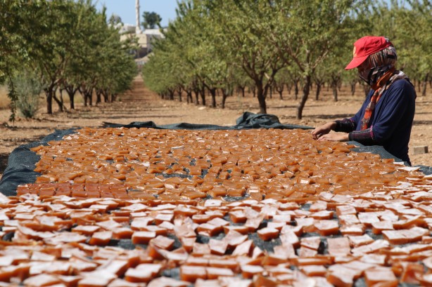 Foto - Üstüne basa basa önerdiler! Üzümün o enfes yolculuğuna çıkmaya hazır mısınız?