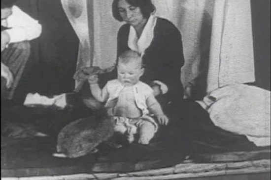 Foto - Utanç dolu bir deney: 8 aylık Albert'a ne oldu?