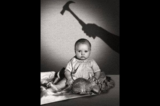 Foto - Utanç dolu bir deney: 8 aylık Albert'a ne oldu?