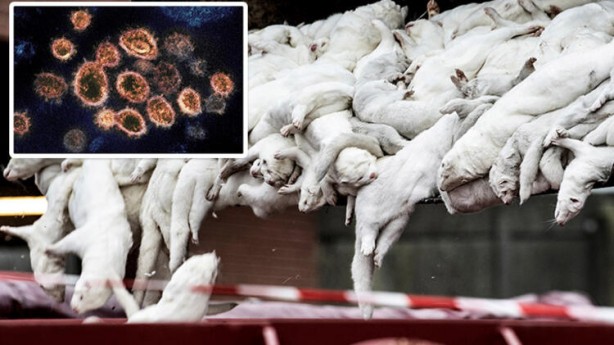 Foto - Uyarılar peş peşe geliyor! Dünyayı dehşete düşüren haber