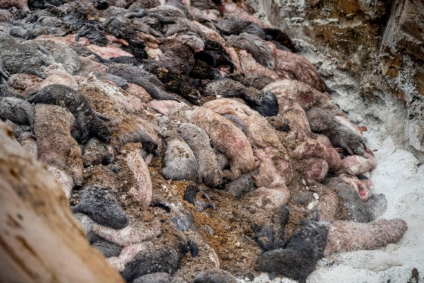 Foto - Uyarılar peş peşe geliyor! Dünyayı dehşete düşüren haber