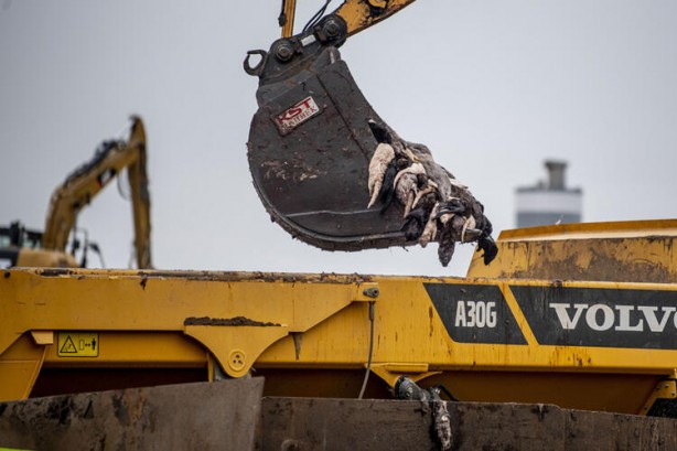 Foto - Uyarılar peş peşe geliyor! Dünyayı dehşete düşüren haber