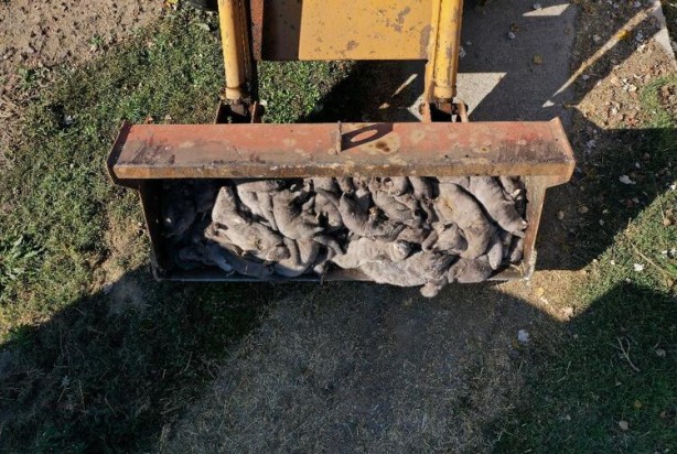 Foto - Uyarılar peş peşe geliyor! Dünyayı dehşete düşüren haber