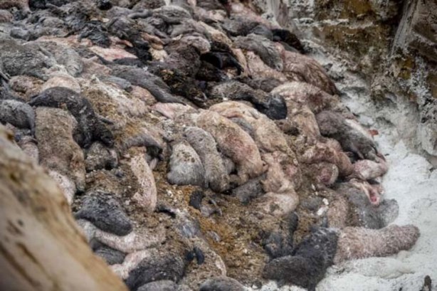 Foto - Uyarılar peş peşe geliyor! Dünyayı dehşete düşüren haber