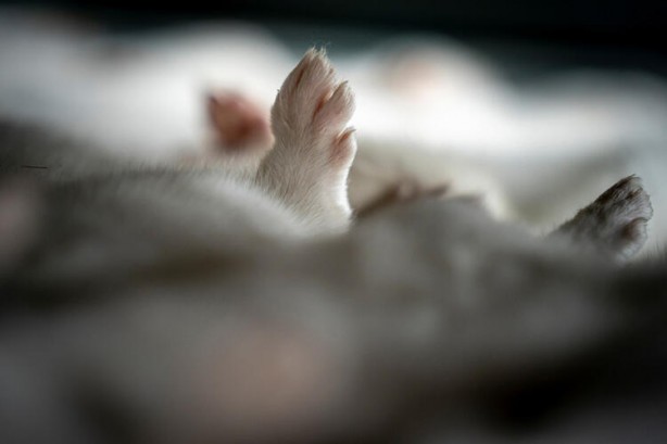 Foto - Uyarılar peş peşe geliyor! Dünyayı dehşete düşüren haber