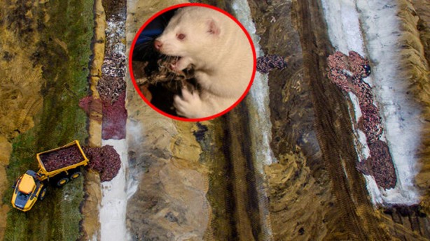 Uyarılar peş peşe geliyor! Dünyayı dehşete düşüren haber