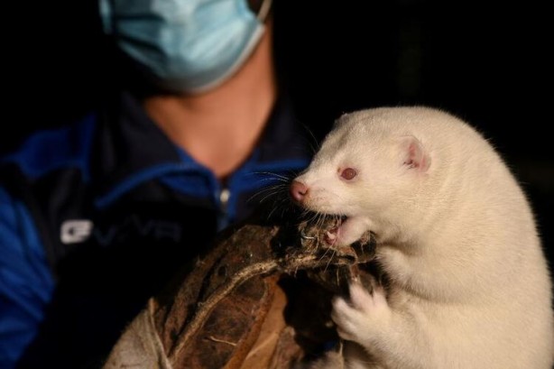 Foto - Uyarılar peş peşe geliyor! Dünyayı dehşete düşüren haber
