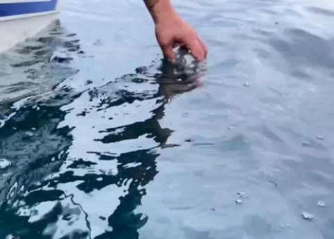 Foto - Uydu görüntülerinde tespit edildi! ABD'liler onayladı: Türkiye bölgede büyük bir petrol rezervi bulmuş olabilir