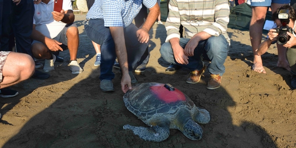 Foto - Uydu takip cihazı takılıp denize bırakıldı