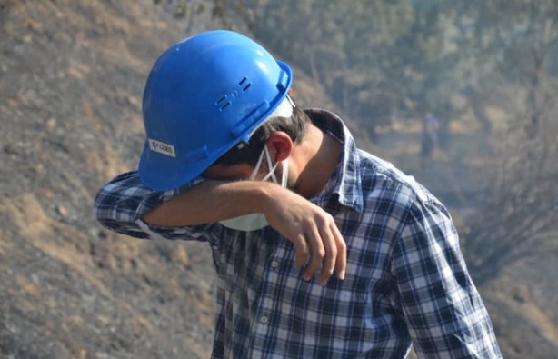 Foto - Uydulardan mı yapıldı? Çıkan esrarengiz yangın şoke etti! Bakın ağaçlar nasıl yandı