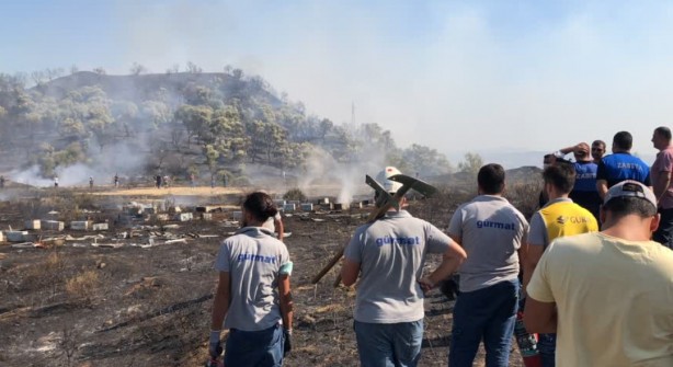 Foto - Uydulardan mı yapıldı? Çıkan esrarengiz yangın şoke etti! Bakın ağaçlar nasıl yandı