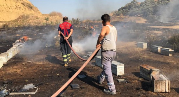 Foto - Uydulardan mı yapıldı? Çıkan esrarengiz yangın şoke etti! Bakın ağaçlar nasıl yandı