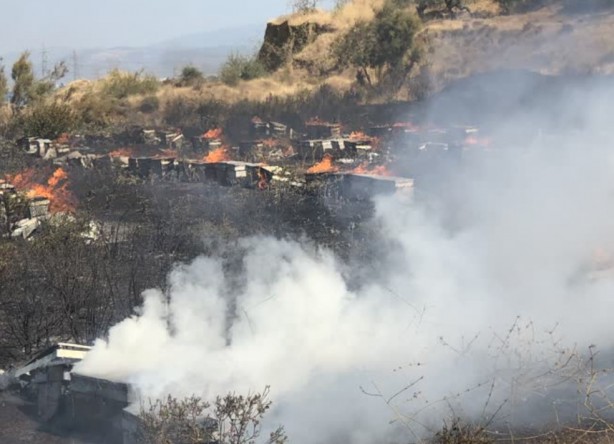 Foto - Uydulardan mı yapıldı? Çıkan esrarengiz yangın şoke etti! Bakın ağaçlar nasıl yandı