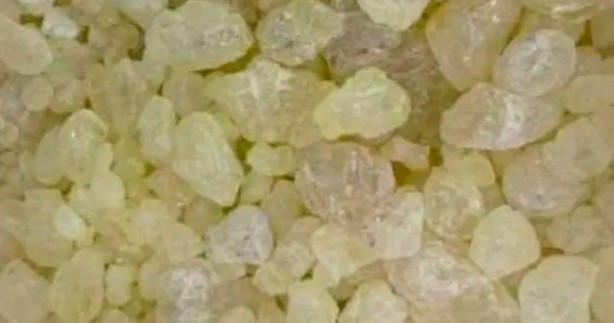 Foto - Uyku ve iltihab sorununa mezda sakızı! Balla karıştırdığınızda...