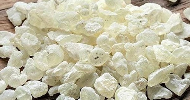 Foto - Uyku ve iltihab sorununa mezda sakızı! Balla karıştırdığınızda...