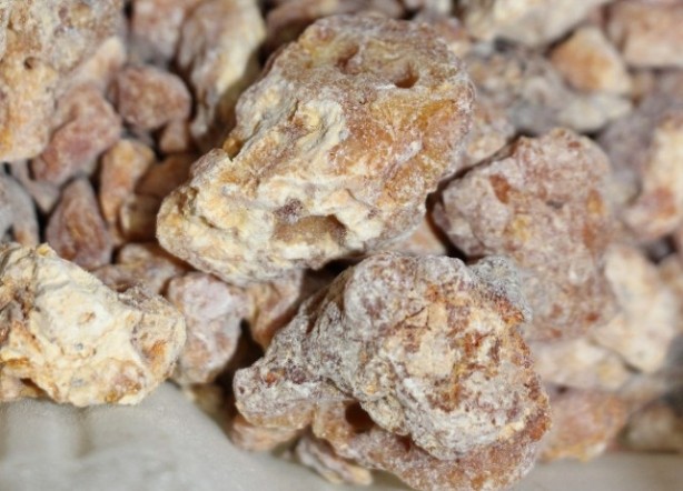 Foto - Uyku ve iltihab sorununa mezda sakızı! Balla karıştırdığınızda...