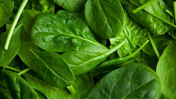 Foto - Uykudan önce mutlaka bunu yapın! 