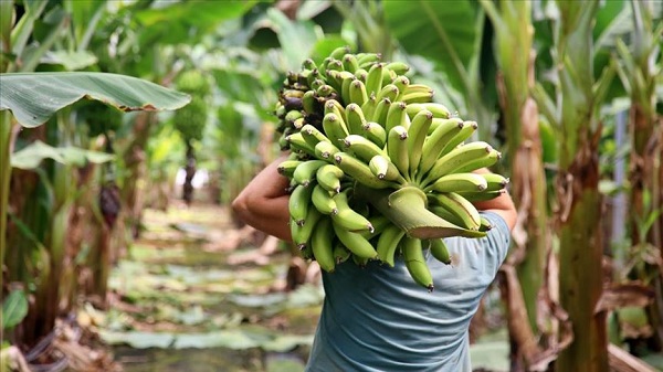 Foto - Uykudan önce mutlaka bunu yapın! 