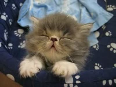 Foto - Uykunuzu getirecek 20 etkili tavsiye!