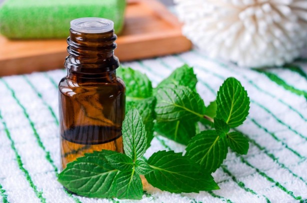 Foto - Uykusuz gecelere kesin çözüm! Bu yöntemlerle sivrisineklerden tamamen kurtulacaksınız!