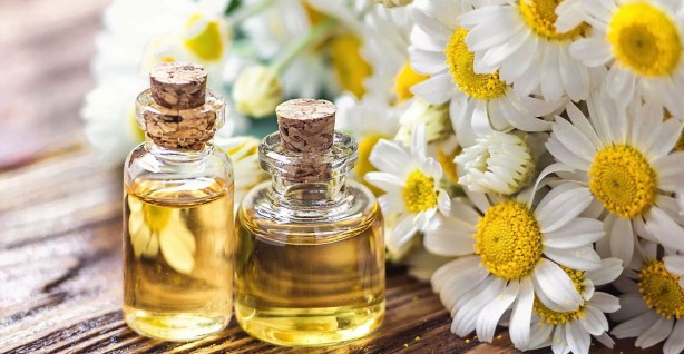 Foto - Uykusuz gecelere kesin çözüm! Bu yöntemlerle sivrisineklerden tamamen kurtulacaksınız!