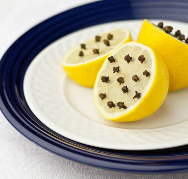 Foto - Uykusuz gecelere kesin çözüm! Bu yöntemlerle sivrisineklerden tamamen kurtulacaksınız!