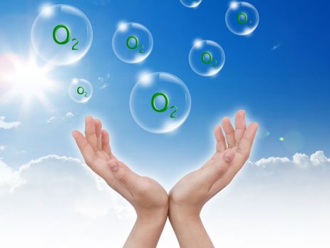 Foto - Uyumadan önce dörde bölünmüş limonu tuzlayın: Başucunuza koyun ve sonucu görün!