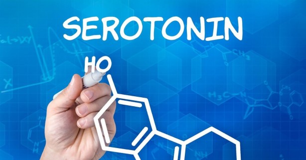 Foto - Uyumadan önce dörde bölünmüş limonu tuzlayın: Başucunuza koyun ve sonucu görün!