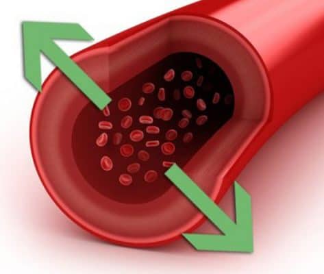 Foto - Uyumadan önce dörde bölünmüş limonu tuzlayın: Başucunuza koyun ve sonucu görün!