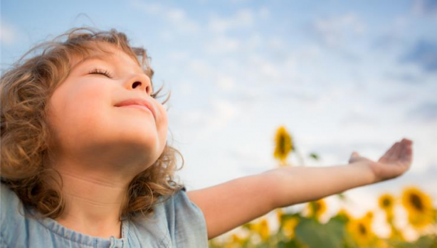 Foto - Uyumadan önce dörde bölünmüş limonu tuzlayın: Başucunuza koyun ve sonucu görün!