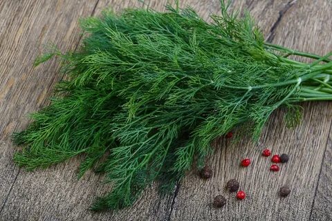 Foto - Uyumadan önce yenen dereotunun mucize faydaları ortaya çıkıyor