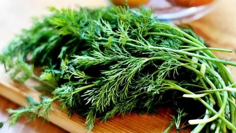 Foto - Uyumadan önce yenen dereotunun mucize faydaları ortaya çıkıyor