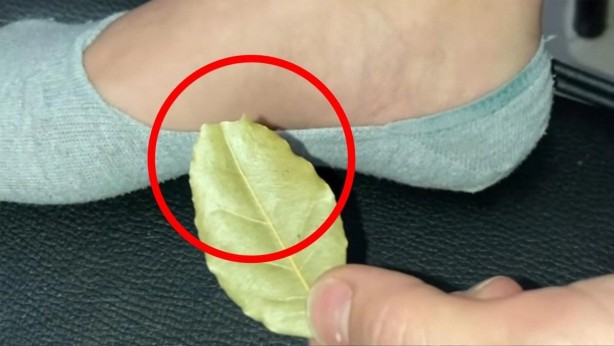 Foto - Uyurken bunu çorabınızın içerisine koyun, bu dertleri unutun! Meğer nelere nelere iyi geliyormuş! Ağzınız bir karış açık kalacak