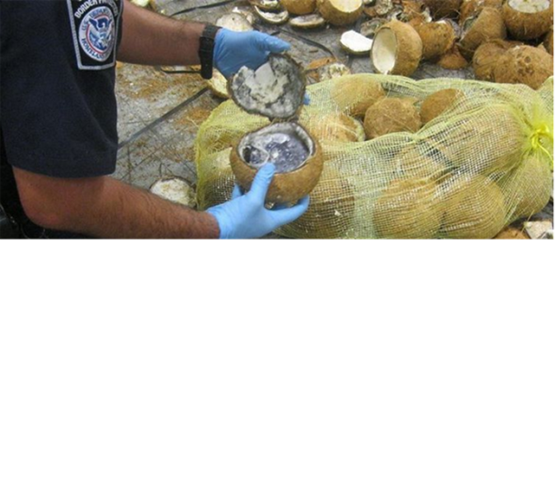 Foto - Uyuşturucu kaçakçılarının akıl almaz yöntemleri