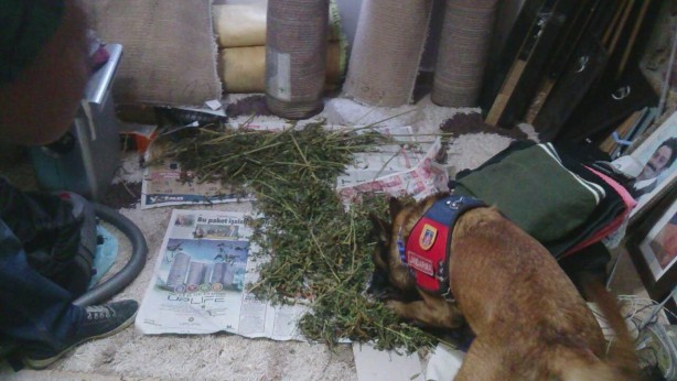 Foto - Uyuşturucudan ceza alan oyuncunun yeni adresi belli oldu