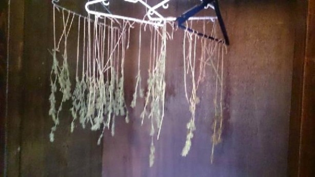 Foto - Uyuşturucudan ceza alan oyuncunun yeni adresi belli oldu