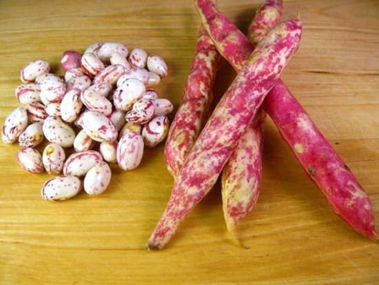 Foto - Uyuyamıyor musunuz?