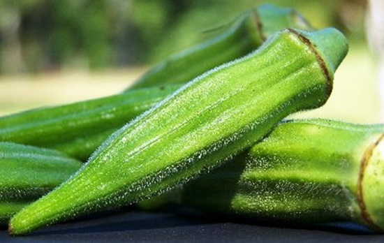 Foto - Uyuyamıyor musunuz?