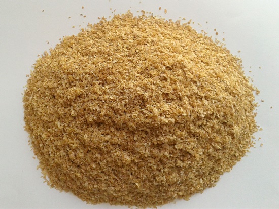 Foto - Uyuyamıyor musunuz?