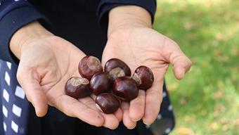 Foto - Uyuz vakaları yüzde 30 arttı, bazı kremlere direnç göstermeye başladı! Uyuz nasıl geçer? Sirke veya sirkeli su işe yarıyor mu? Dermatoloji Uzmanı açıkladı