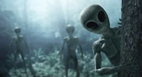 Foto - Uzaylılar tarafından ziyaret edilene 1 milyon dolar