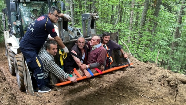 Foto - Üzerine ağaç düşen kişi kurtarıldı