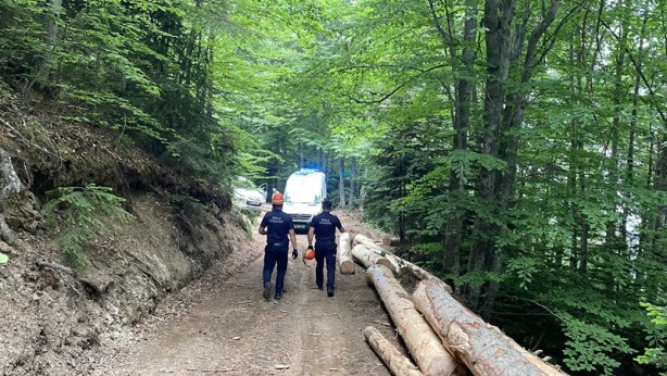 Foto - Üzerine ağaç düşen kişi kurtarıldı